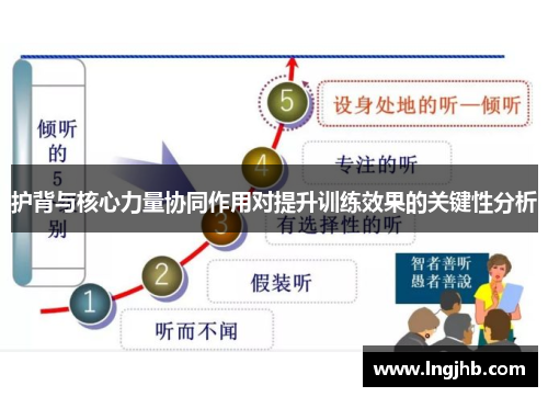 护背与核心力量协同作用对提升训练效果的关键性分析